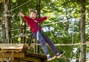 Go Ape in Grizedale Forest, Lake District.